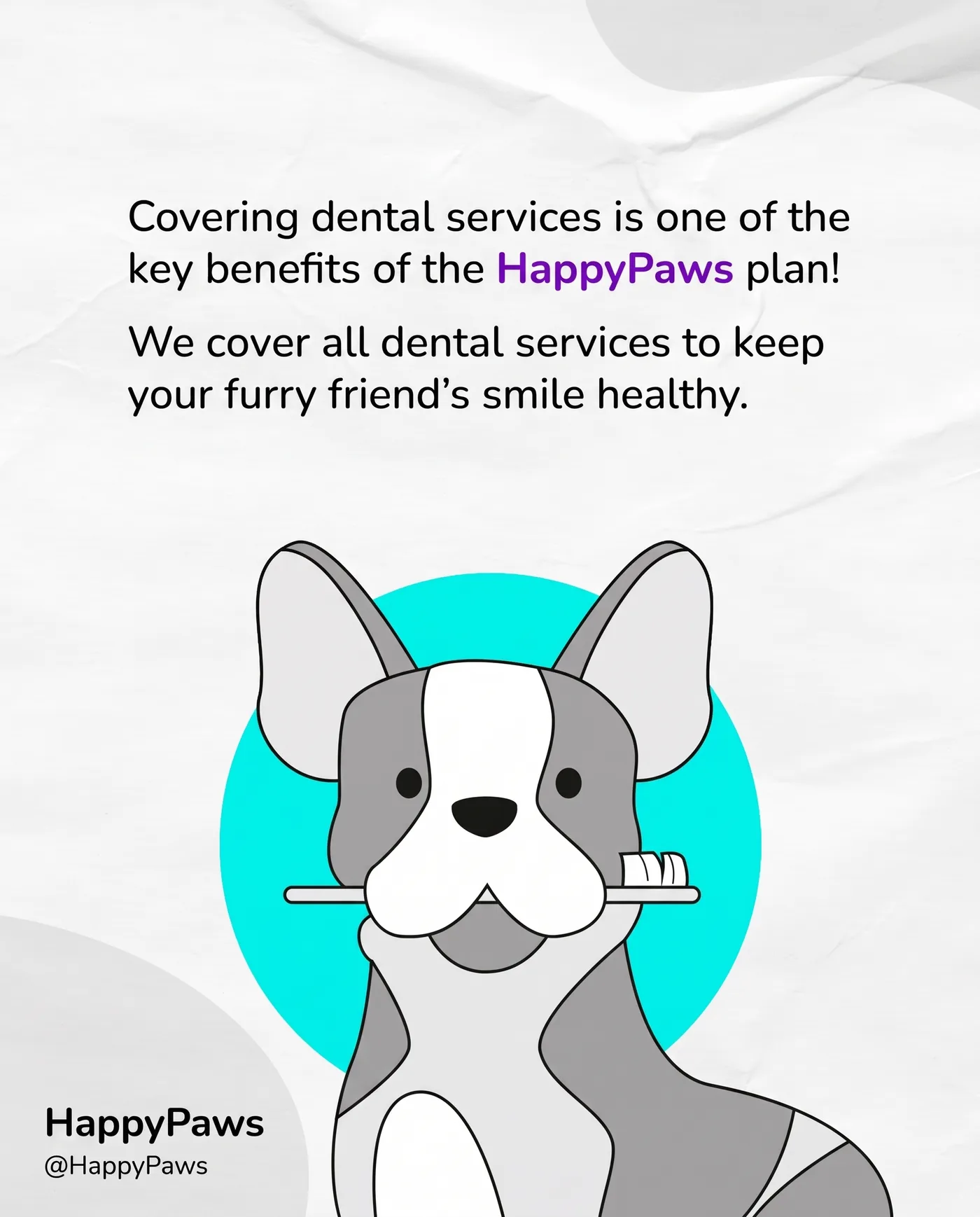 HappyPaws Dental Plan — an Instagram post for HappyPaws