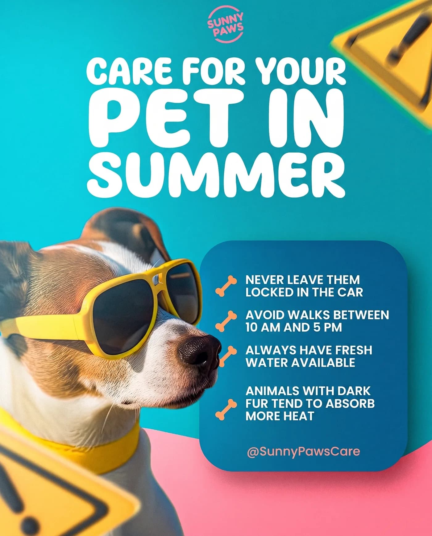 Summer Pet Care — an Instagram post for Sunny Paws