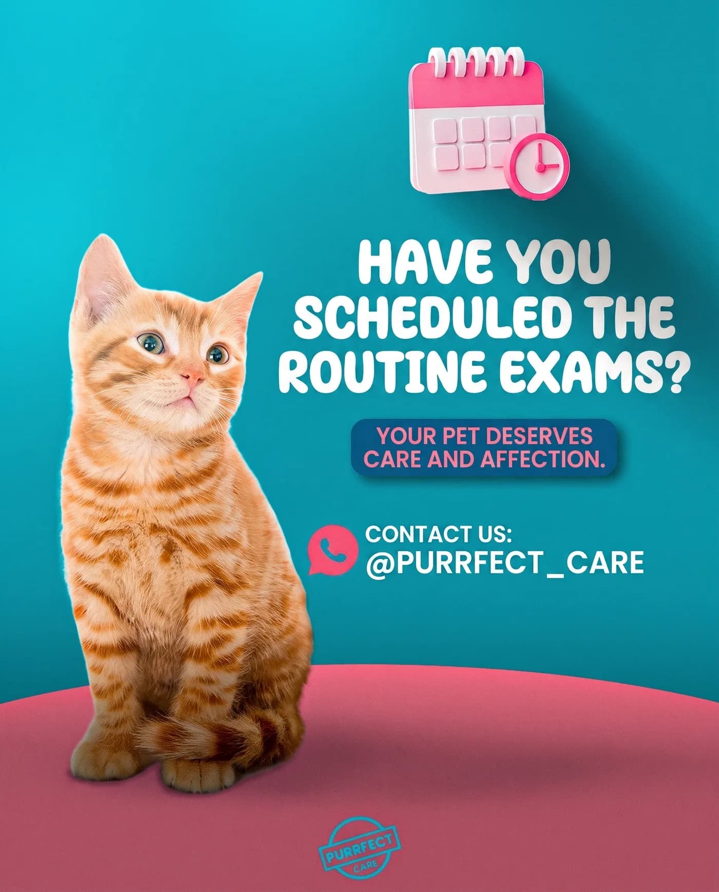 Routine Pet Exams — an Instagram post for PURRFECT CARE