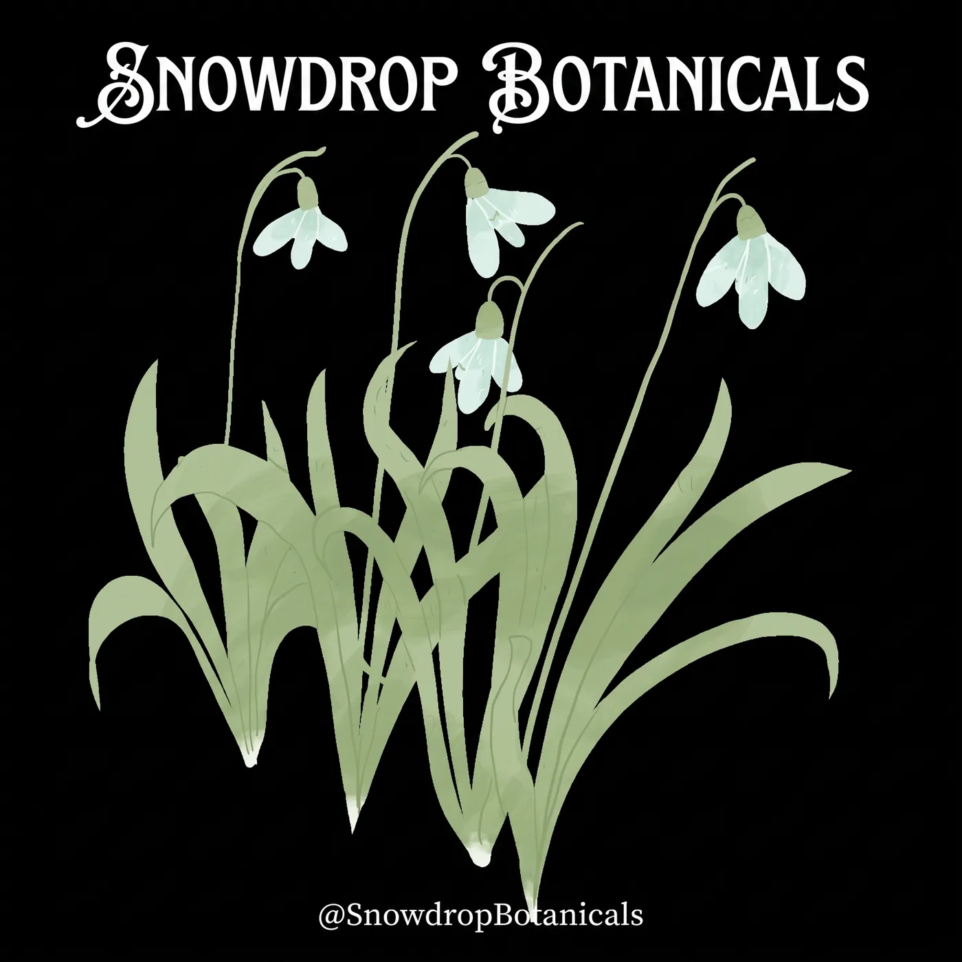 Snowdrop Botanicals Graphic — an Instagram post for Snowdrop Botanicals